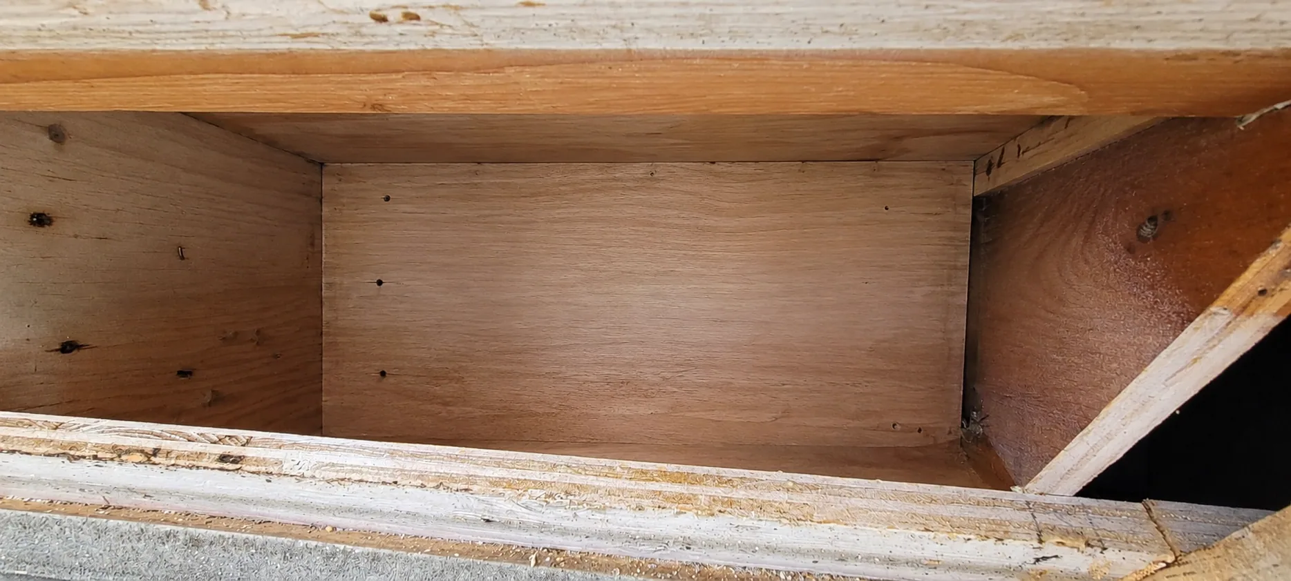 Clean wall and relocated colony after professional removal