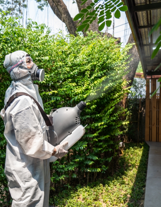 Bee Removal for Schools, Parks, and Public Spaces in Los Angeles