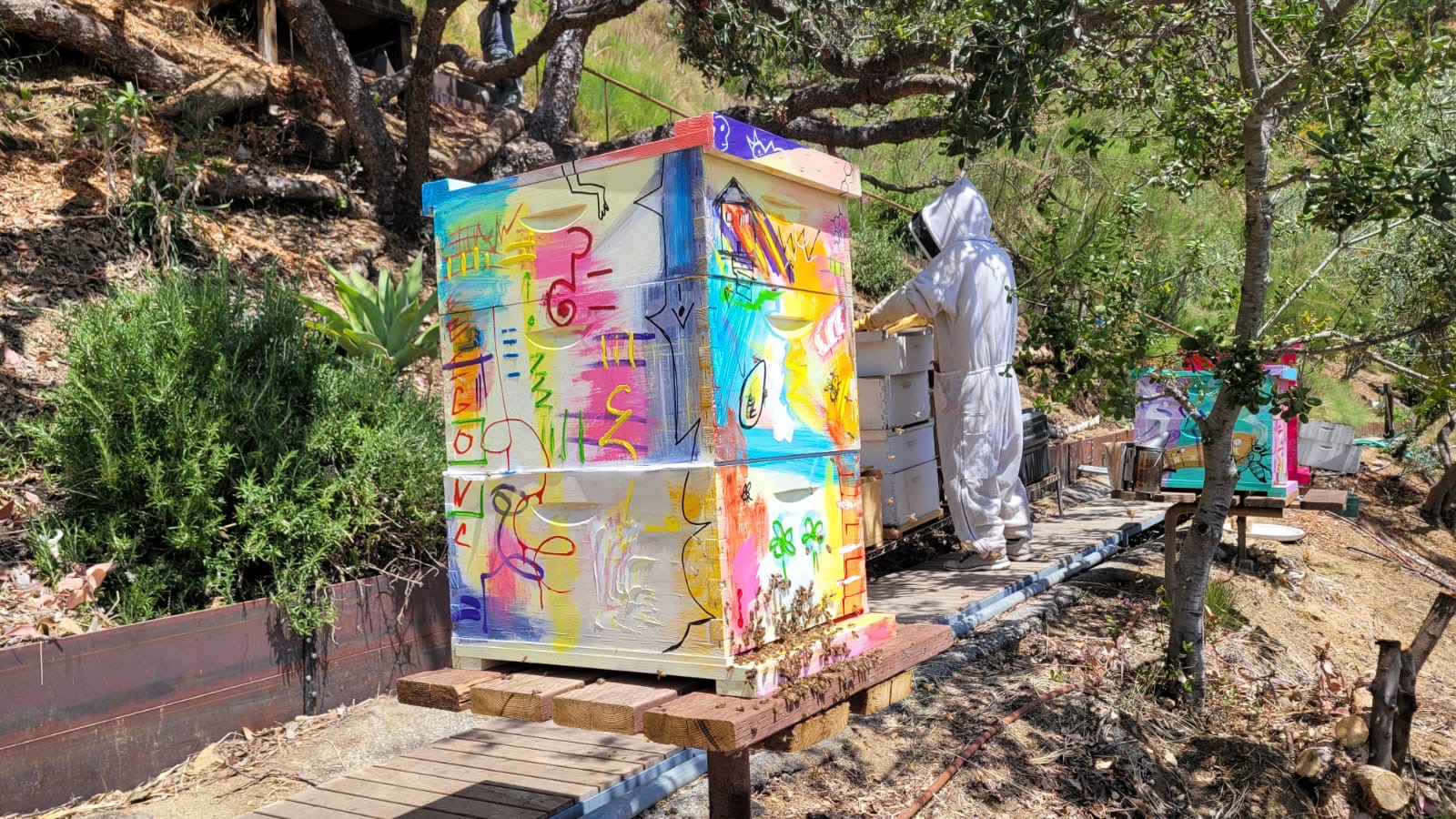 Bee colonies thriving at a trusted sanctuary partner's location