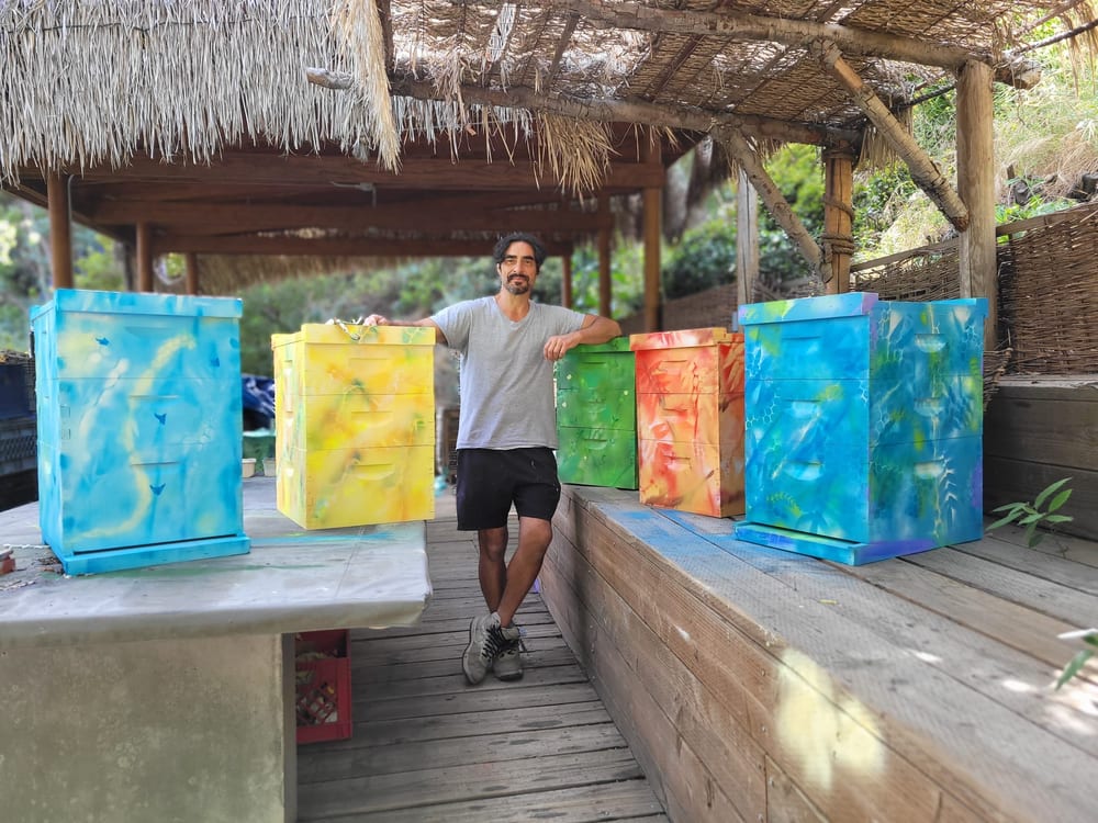 Steve Downs's colorful hand-painted bee boxes where relocated colonies settle