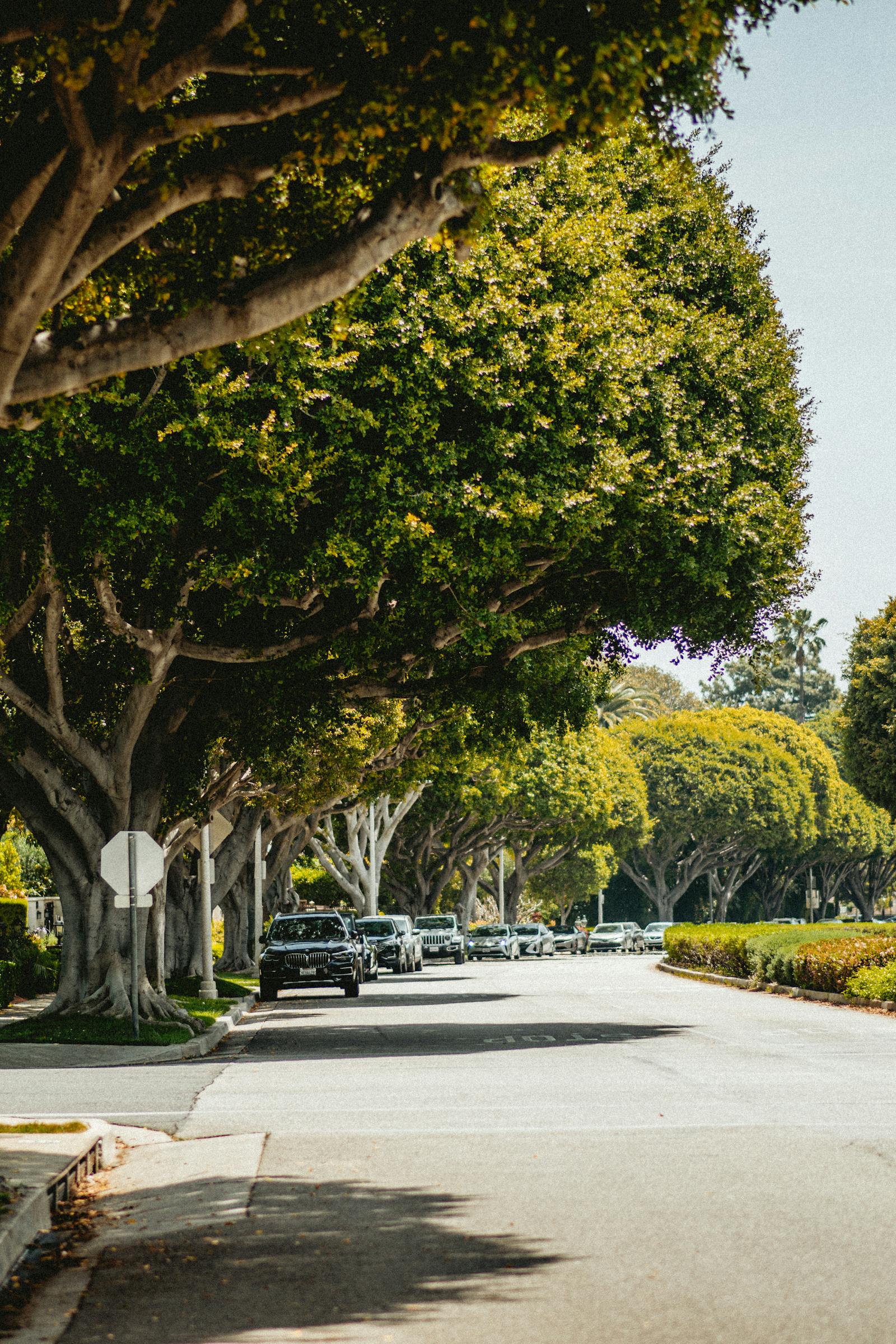 Whittier