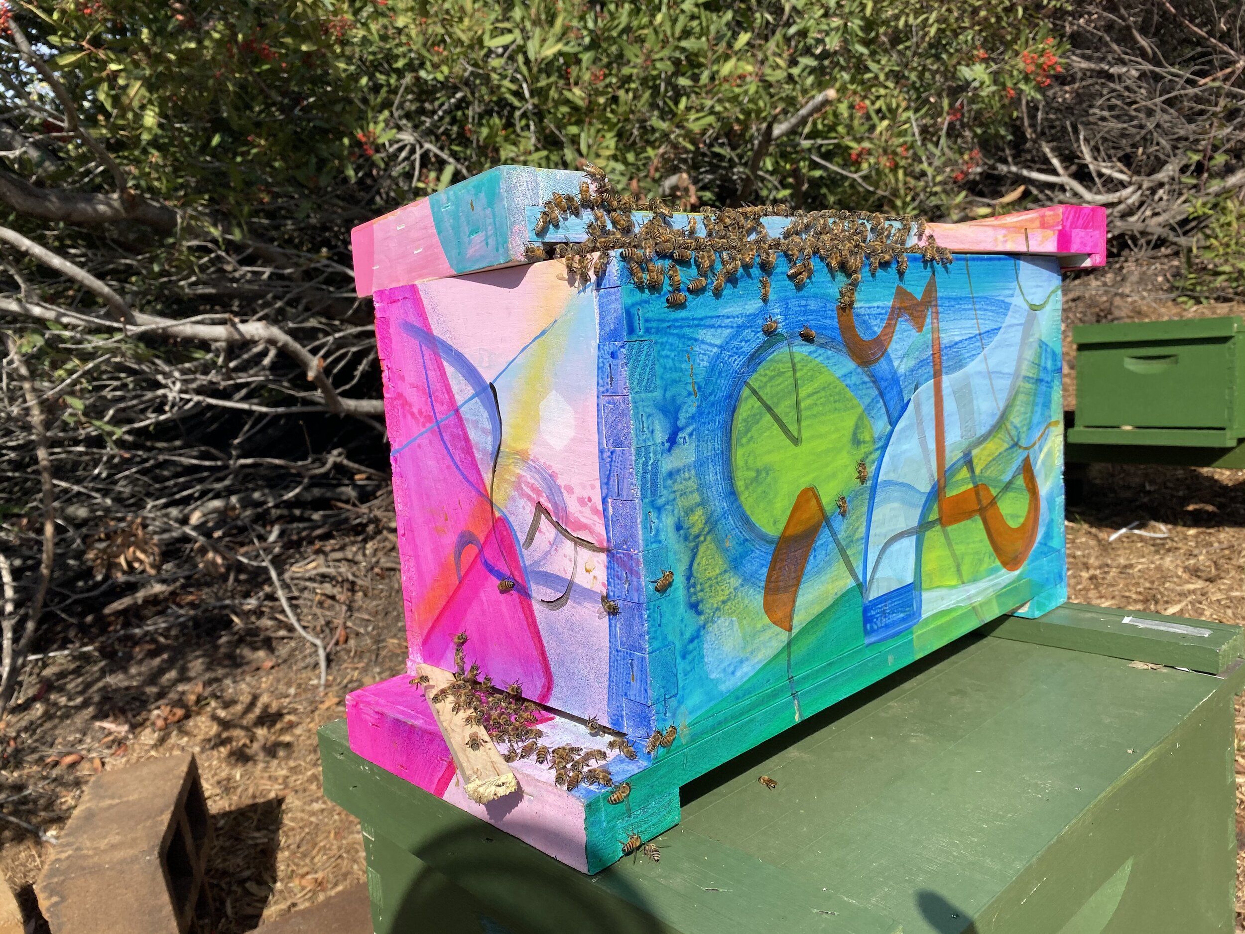 Beecasso painted bee box in pink and blue with live honey bees clustered on top