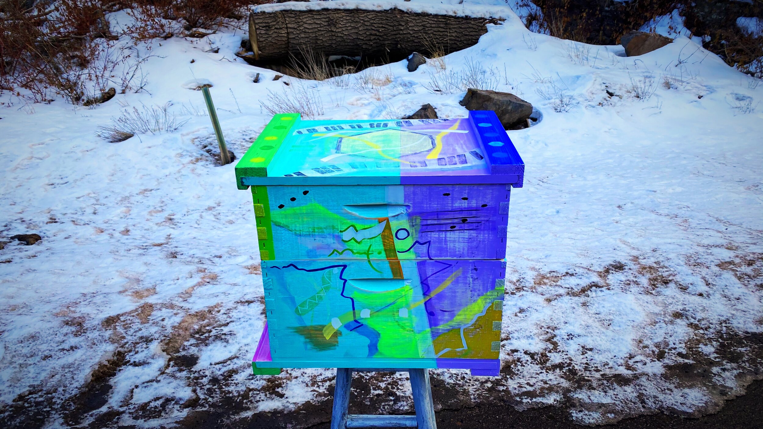 Beecasso teal, purple and green painted bee box photographed in a snow-covered yard