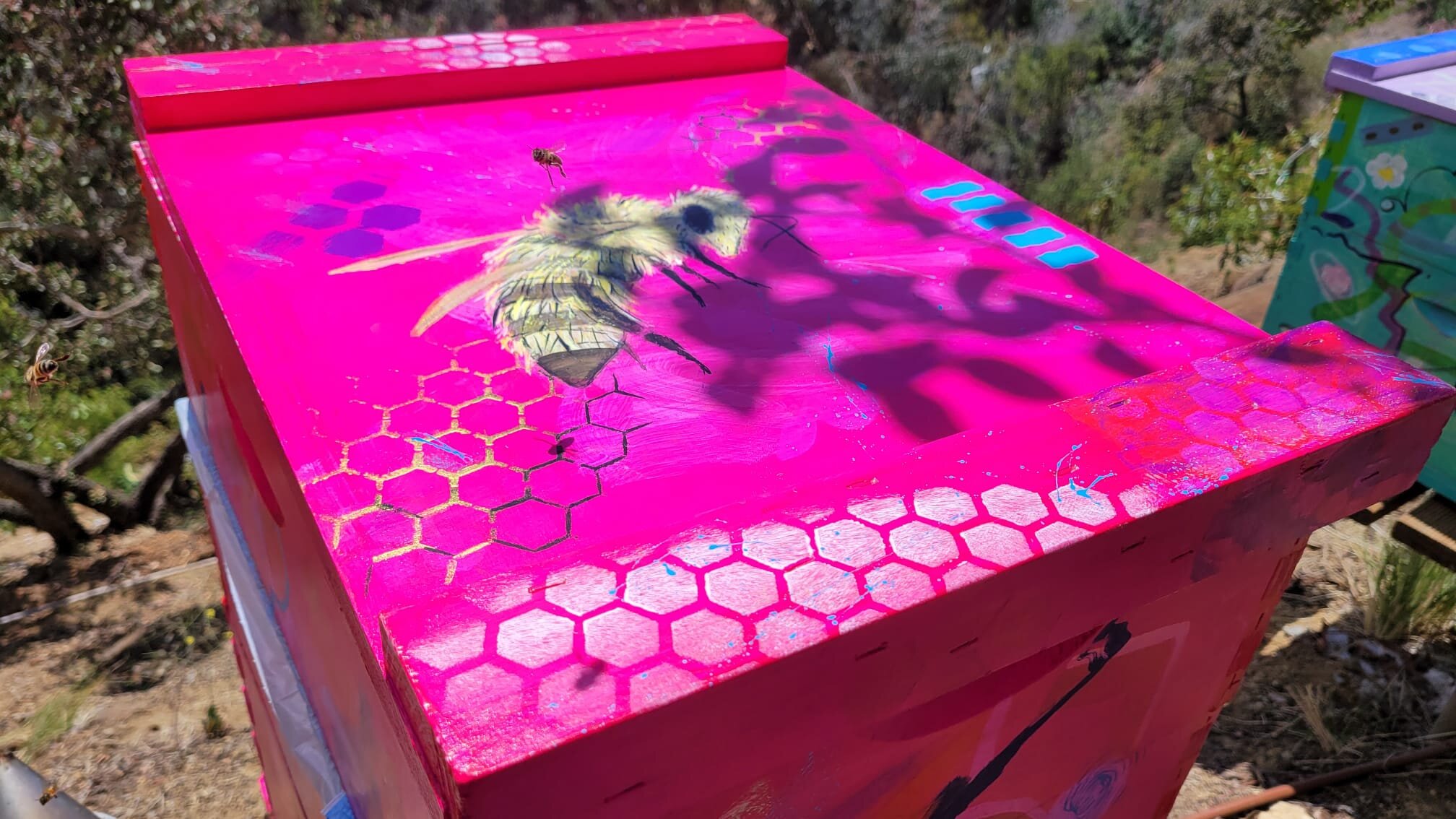 Top-down view of Beecasso hot pink painted bee box with honeycomb pattern and bee stencil