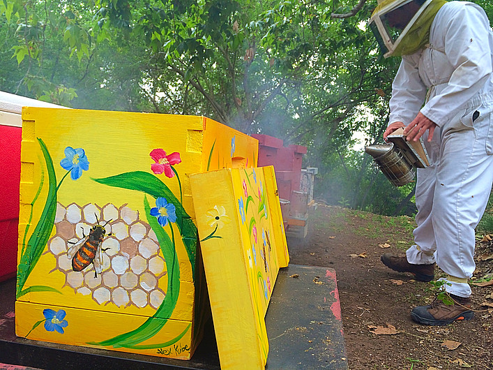 Beecasso yellow bee box with painted honeycomb, bee, and blue and red flower motifs
