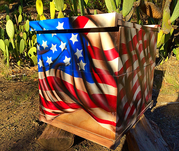 Beecasso bee box painted with American flag design, stars and stripes, outdoors near cactus