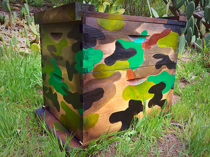 Beecasso bee box painted in military camouflage pattern, earth tones and greens, outdoors near cactus
