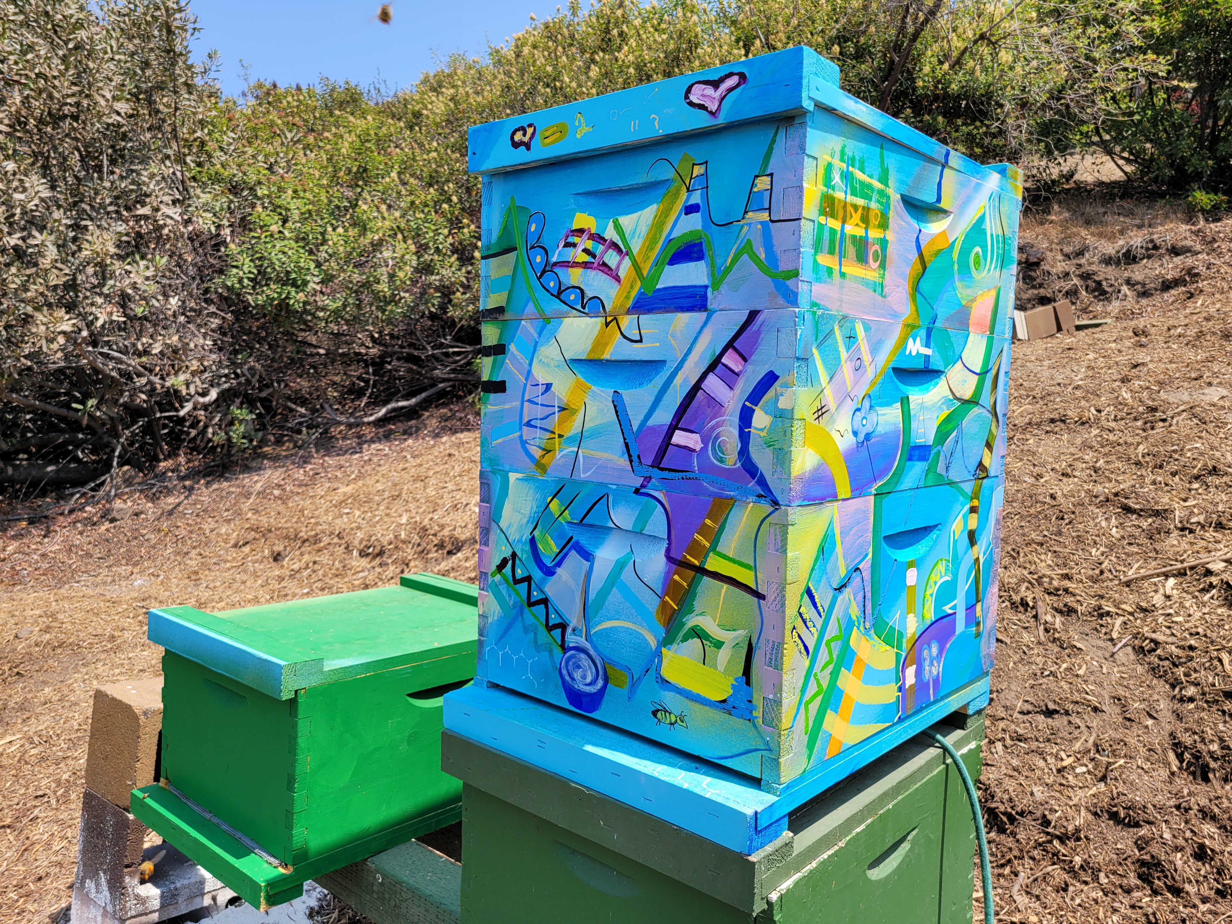 Beecasso painted bee box in blue with geometric and cubist figure art, outdoors at a partner sanctuary