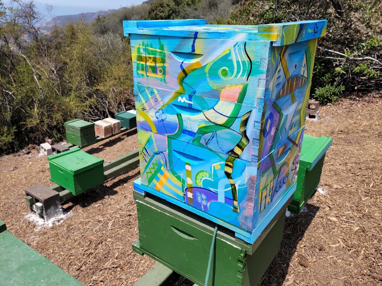 Beecasso painted bee box in blue and green with cubist fish and figure art at an outdoor partner sanctuary
