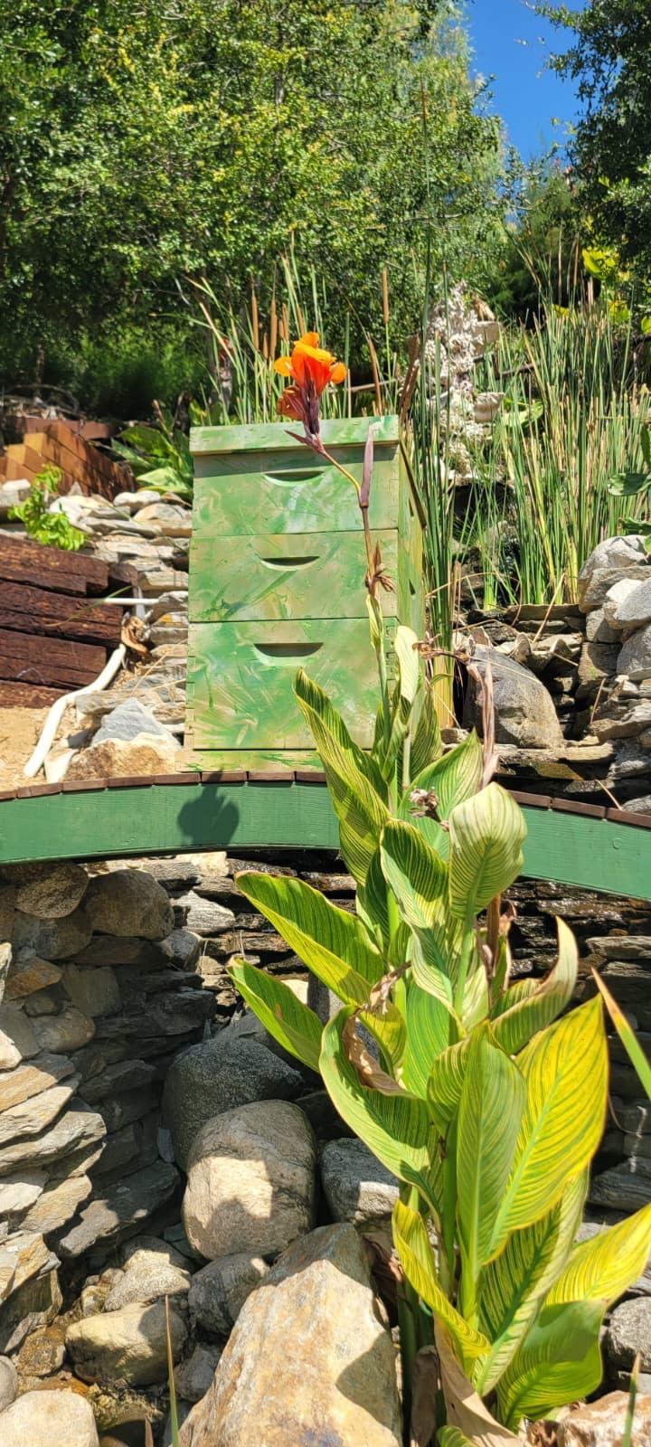 Beecasso painted bee box in sage green with soft organic forms, set among rocks and flowers