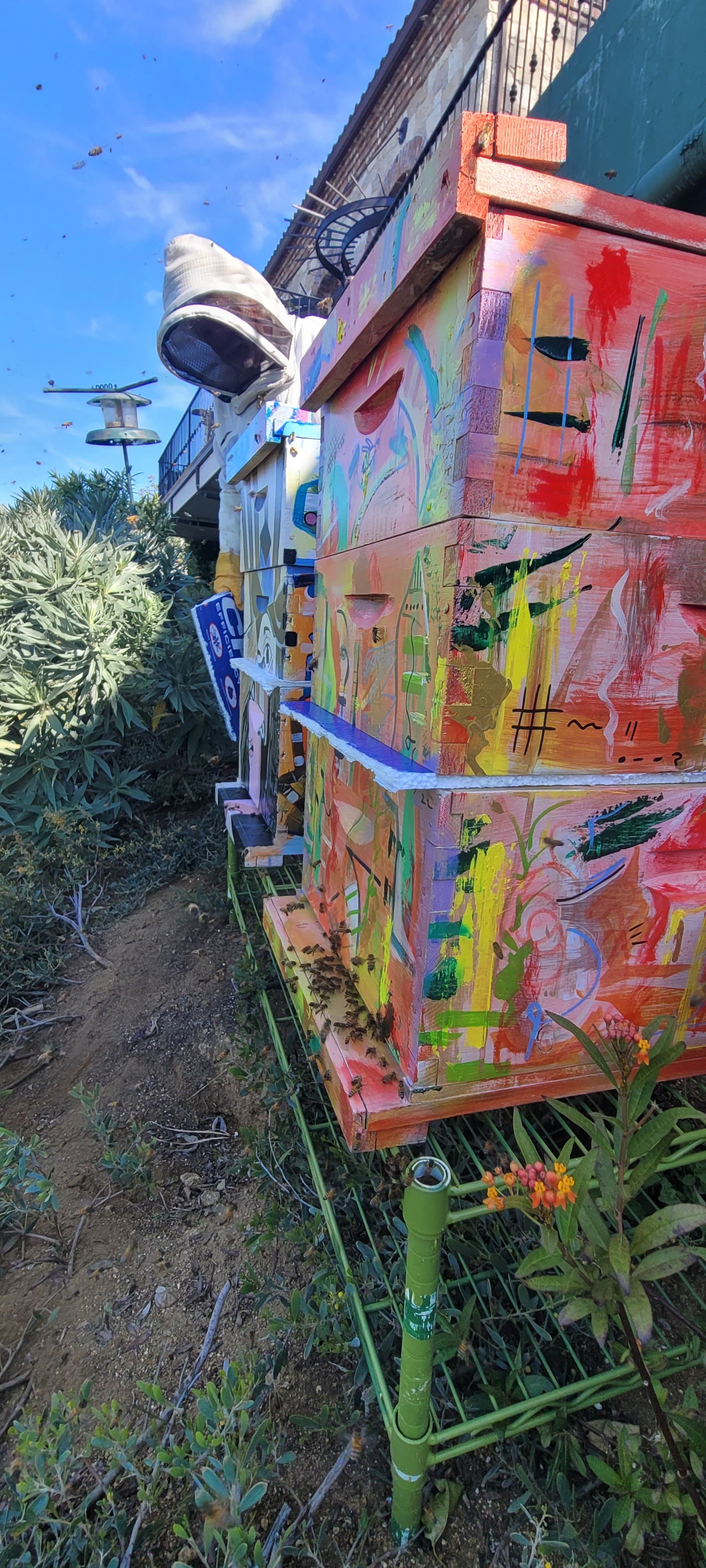 Row of Beecasso painted bee boxes in orange, yellow and green at outdoor apiary, bees active