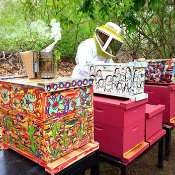 Steve Downs in bee suit using smoker beside colorful painted hive boxes at a partner sanctuary apiary
