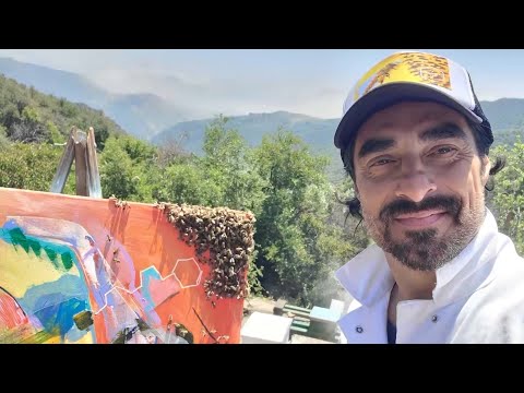 Inside Edition: California Bee Expert Transports Swarms to His Beecasso Sanctuary