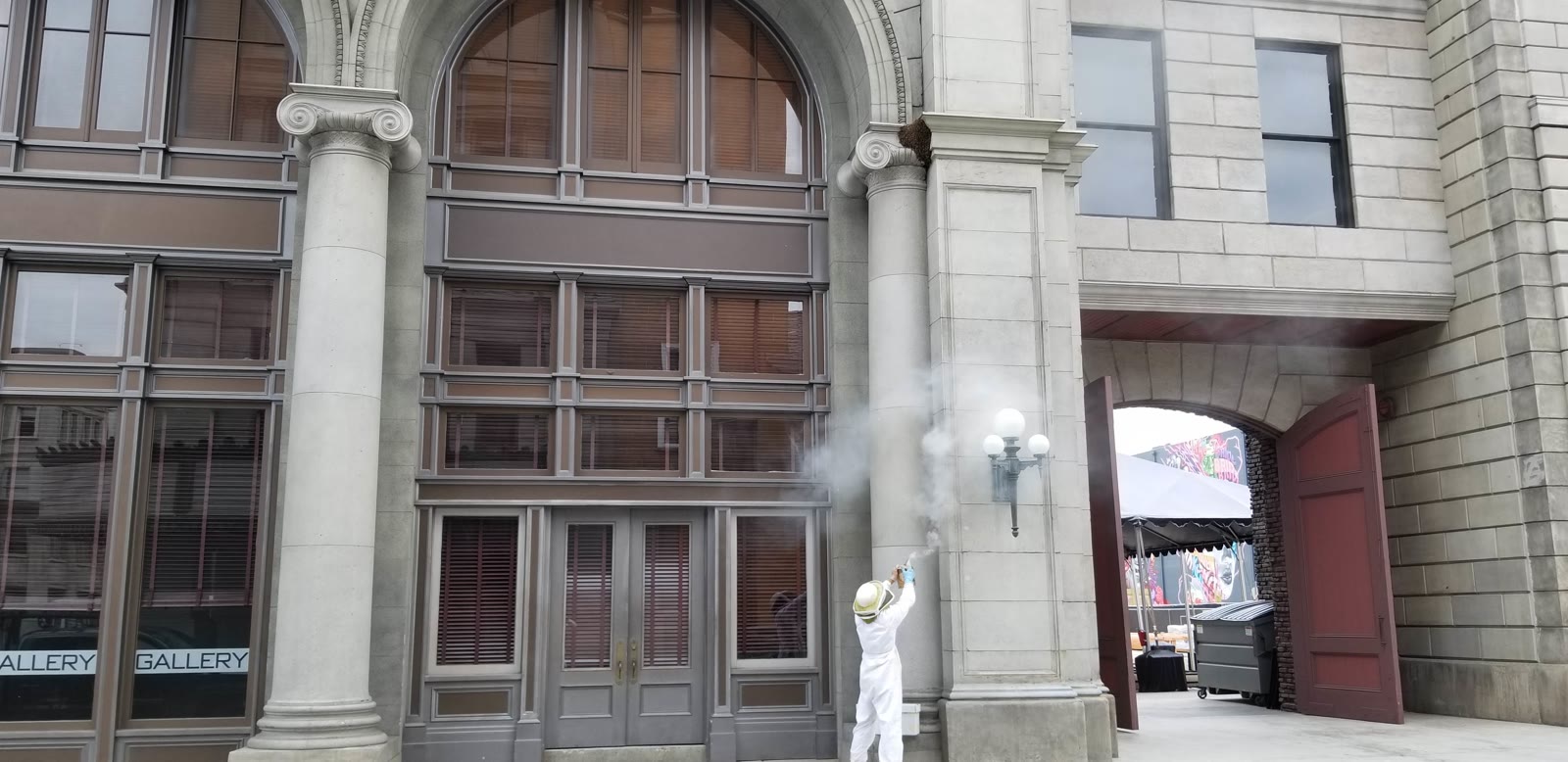 Beecasso commercial bee removal