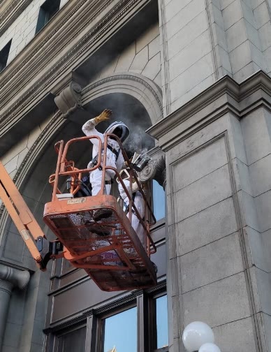 Beecasso commercial bee removal