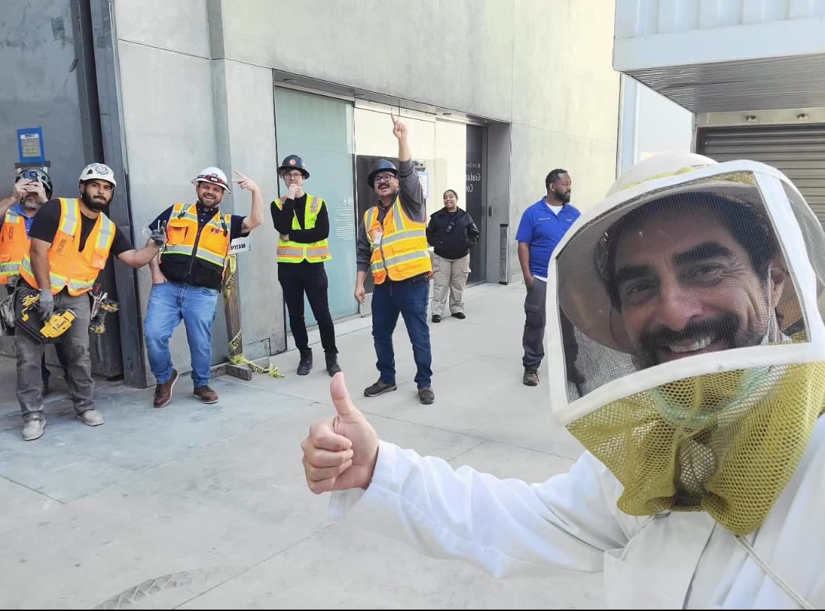 Beecasso commercial bee removal