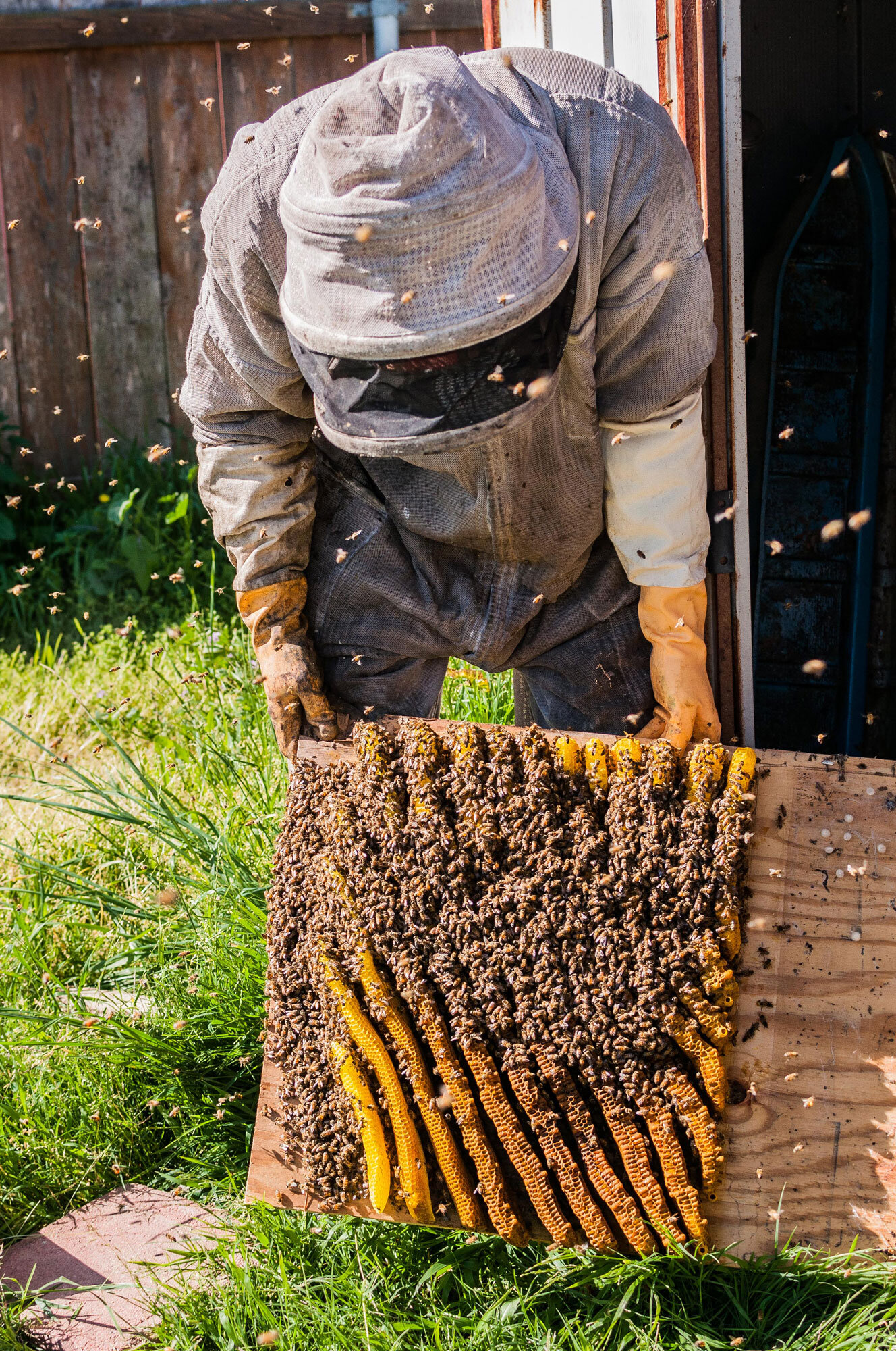 BeeRescue JeffRemoval