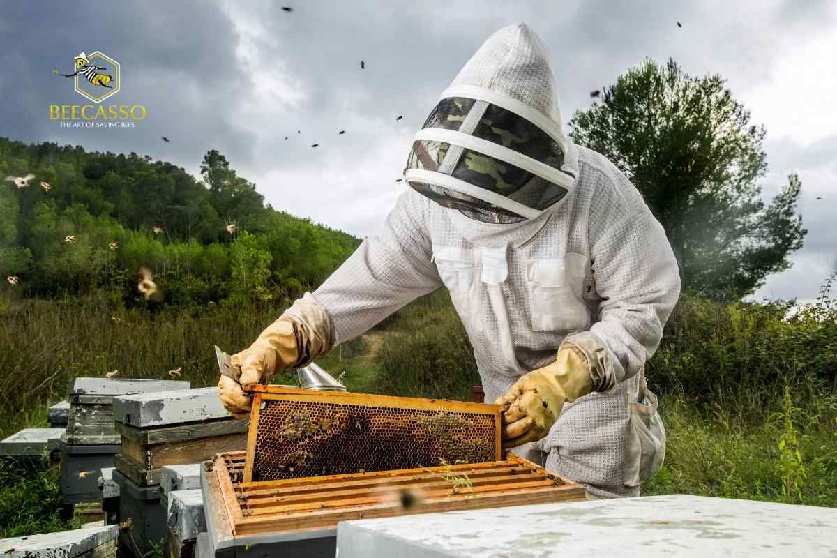 Protect Your Family with Safe Bee Relocation in Los Angeles