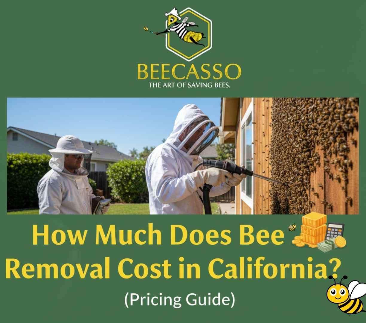 How Much Does Bee Removal Cost in California