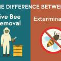 The Difference Between Live Bee Removal and Extermination